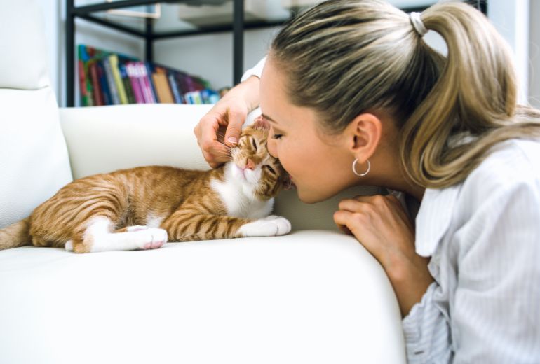 mudanza con gatos consejos