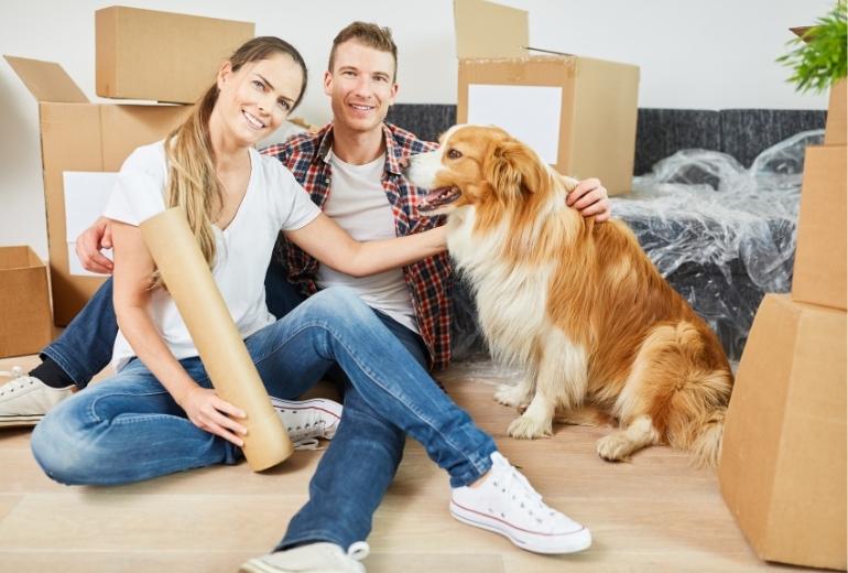 El perro y la mudanza de casa
